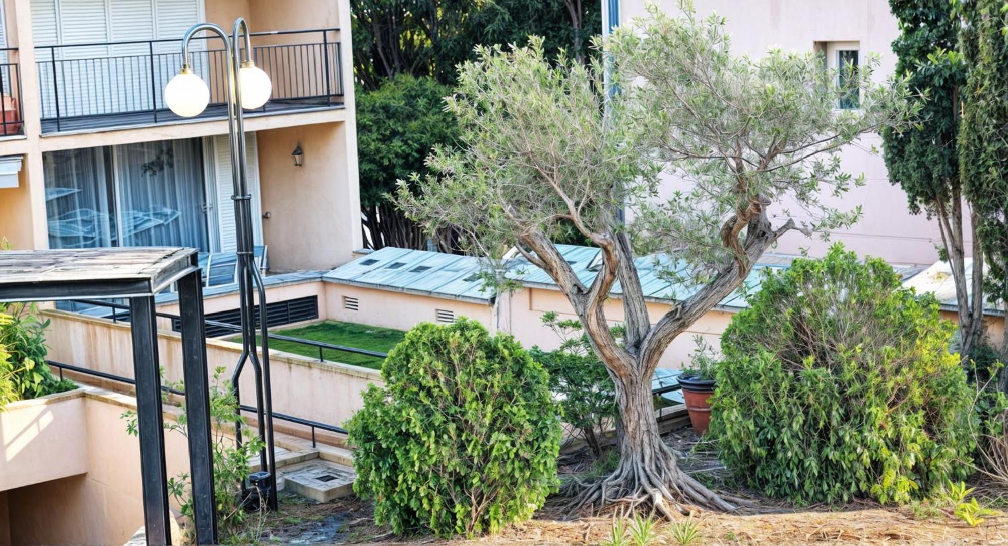 Precioso Apartamento Reformado En 1Ra Linea De Mar Sin Vistas Calella De Palafrugell Cameră foto